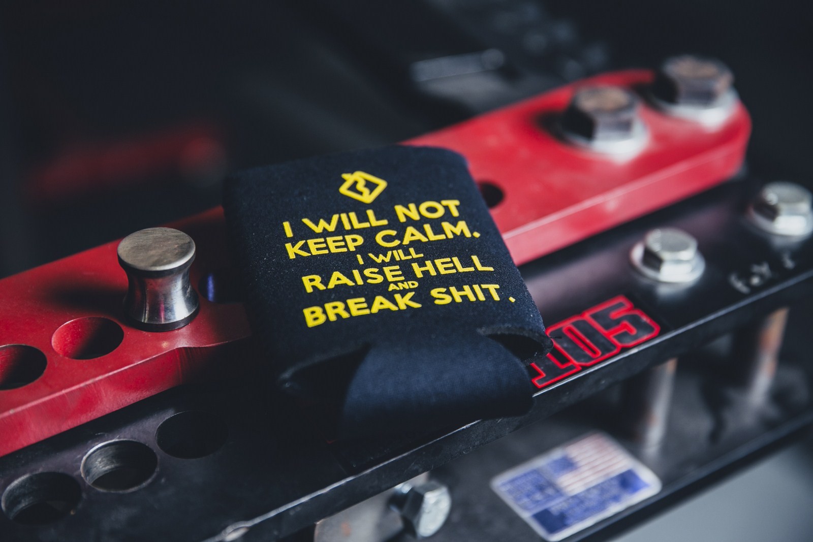 CUP HOLDER - I WILL NOT KEEP CALM - COST $8.00